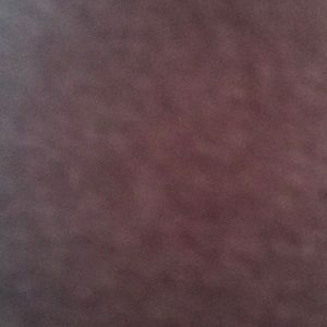 Meet your Posher, Kenzie